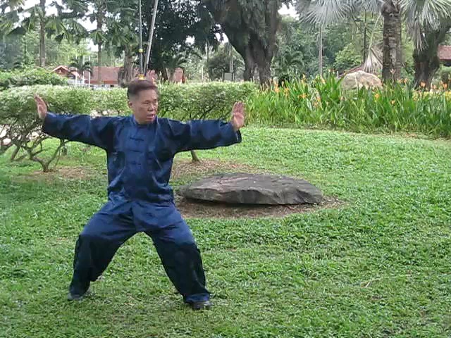 Wu Yu Xiang Style Taijiquan